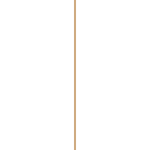 Timeline-Line Timeline-Line